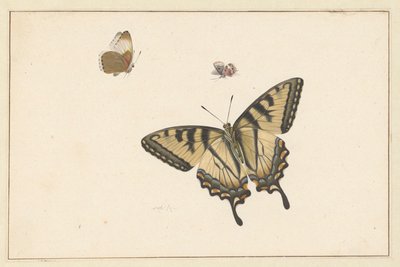 Tre sommerfugle af Herman Henstenburgh
