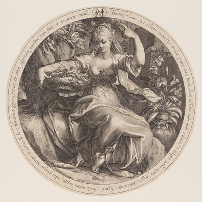 Flora af Herman Jansz. Muller