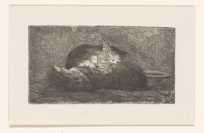 To katte af Herman Johannes van der Weele