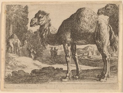 Kameler af Herman van Swanevelt