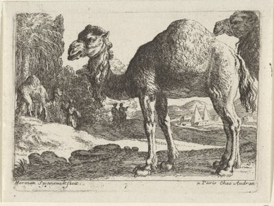 kameler Landskaber med dyr (serietitel) af Herman van Swanevelt