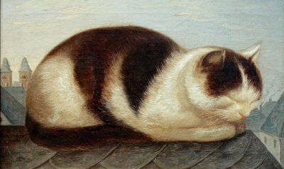 kat af Hermann Anschütz