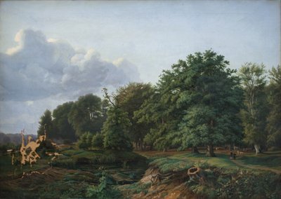 En Skov ved Hellebæk i Nordsjælland. Eftermiddag. af Hermann Carmiencke