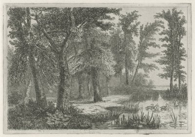Skovudsigt med et fen med ænder af Hermanus Jan Hendrik van Rijkelijkhuysen