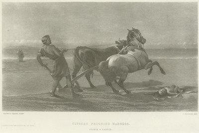 Ulysses foregiver galskab (dybtryk) af Heywood Hardy