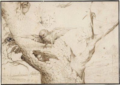 Eulennest. A 1505-10 af Hieronymus Bosch