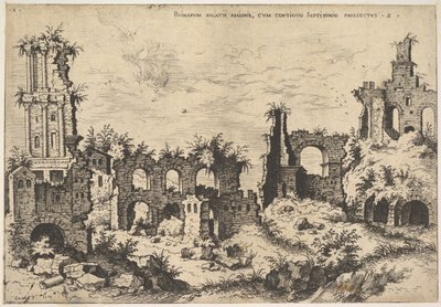 Udsigt over ruiner på Palatinerhøjen med trabeat facade til venstre og arkader i midten, fr..., 1550. af Hieronymus Cock