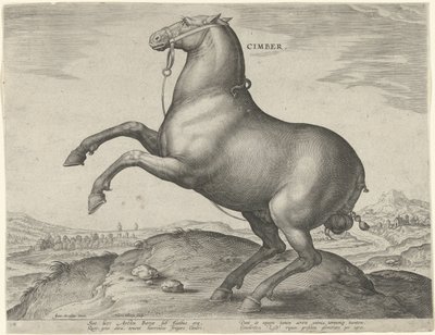 Hest fra Scythia Cimber (titel på objekt) Hesteracer fra de kongelige stalde i Don Juan af Østrig (serietitel) Equile Ioannis Austriaci Caroli (serietitel) af Hieronymus Wierix