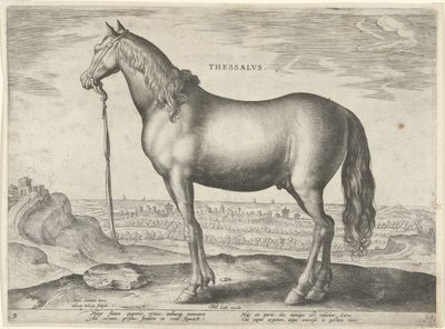 Hest fra Thessaly (Thessalos) Thessaloniki (titel på objekt) Hesteracer fra de kongelige stalde i Don Juan af Østrig (serietitel) Equile Ioannis Austriaci Caroli (serietitel) af Hieronymus Wierix