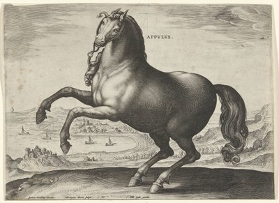 Hest fra Syditalien (Appulus) Appvlvs (titel på objekt) Hesteracer fra de kongelige stalde i Don Juan af Østrig (serietitel) Equile Ioannis Austriaci Caroli (serietitel) af Hieronymus Wierix