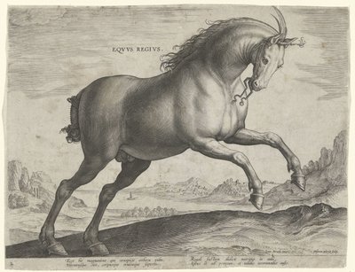 Hest af racen Equus Regius (den kgl.) Eqvvs Regivs (titel på objekt) Hesteracer fra de kongelige stalde i Don Juan af Østrig (serietitel) Equile Ioannis Austriaci Caroli (serietitel) af Hieronymus Wierix