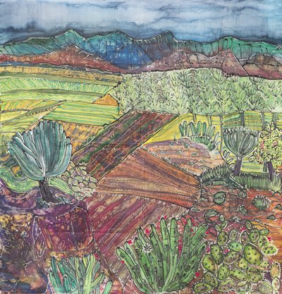 Oaxaca Landskab af Hilary Simon