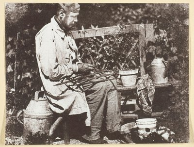 Bayard Jardinier af Hippolyte Bayard