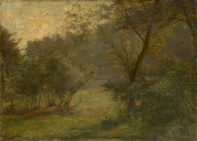 Skovudsigt af Hippolyte Boulenger