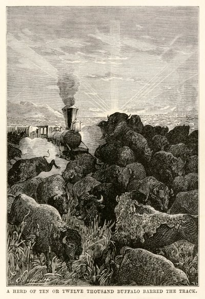 En flok på ti eller tolv tusinde bøfler spærrede sporet, fra Around the World in Eighty Days af Jules Verne (1828-1905), indgraveret af Louis Prevost, 1873 af Hippolyte Leon Benett