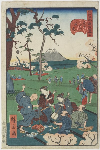 Nr. 5, kirsebærblomster ved Asuka Hill af Hirokage Utagawa