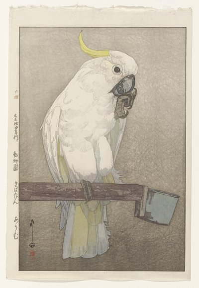 Svovl-kakadue af Hiroshi Yoshida