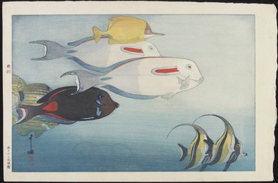 Honolulu Aquarium af Hiroshi Yoshida