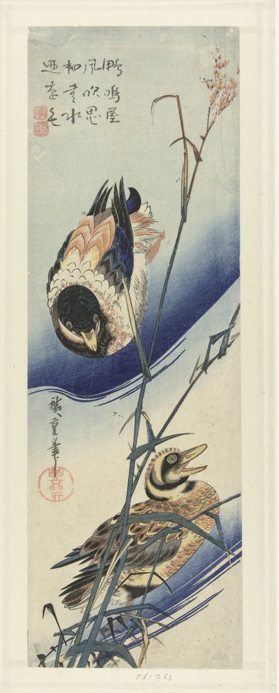 Ænder nær siv af Hiroshige (I) , Utagawa