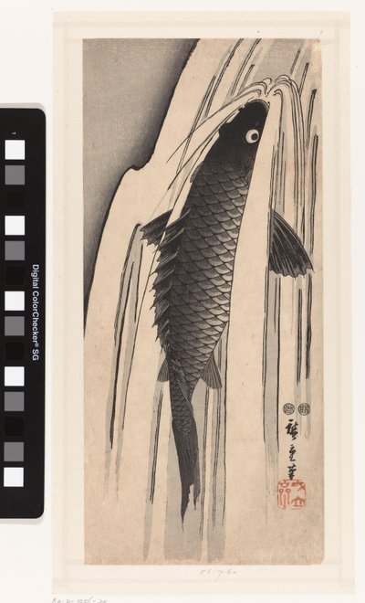 Karper svømmer mod et vandfald af Hiroshige (I) , Utagawa