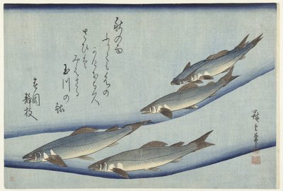 Ørred af Hiroshige (I) , Utagawa