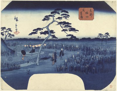Blomstrende iris ved Horikiri i den østlige hovedstad Toto Horikiri hanashobu (titel på objekt) af Hiroshige (II) , Utagawa