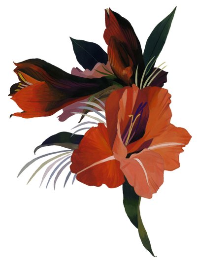 En imaginær blomst baseret på en amaryllis. af Hiroyuki Izutsu
