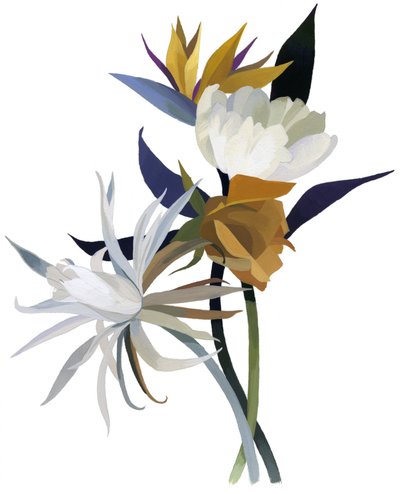 En imaginær blomst med hvid bund. af Hiroyuki Izutsu