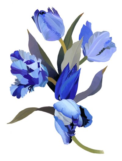 Blå tulipan af Hiroyuki Izutsu