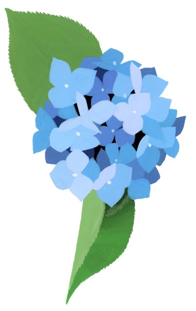 hortensia af Hiroyuki Izutsu