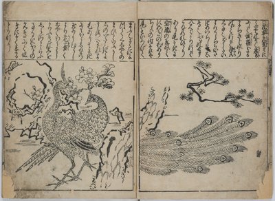 En samling af blomster og fugle (Kacho zukushi) af Hishikawa Moronobu