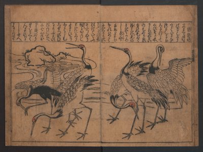 Illustrationen von Vögeln und Blumen (Kachō e-zukushi) af Hishikawa Moronobu