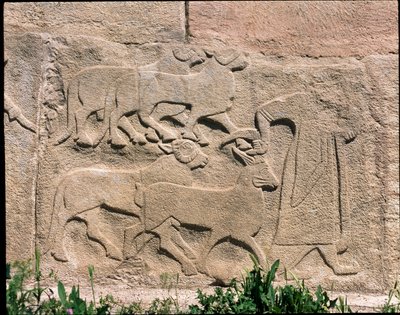 Udsigt over bunden af relieffer af Sfinxens port af Hittite Hittite