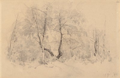 Birkeskov af Hjalmar Munsterhjelm