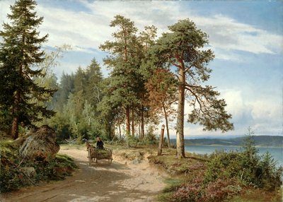 Vej i Finland af Hjalmar Munsterhjelm