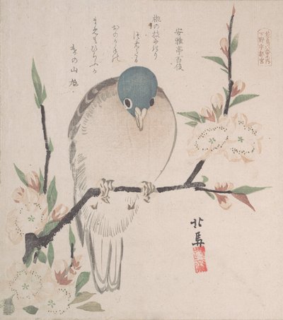 Spring Rain Collection Harusame shu, vol. 3: Bjergdue- og ferskenblomster, ca. 1820., ca. 1820. af Hokuba