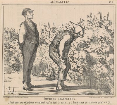 Jeg skal se, hvordan druen modnes... af Honoré Daumier