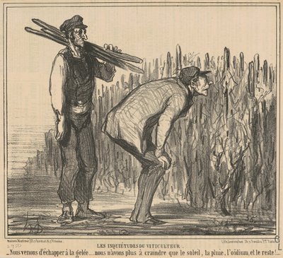 Vinbondens bekymringer af Honoré Daumier