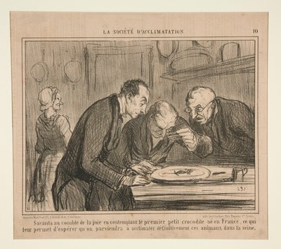 Forskere på højden af ​​glæde overvejer den første lille krokodille af Honoré Daumier