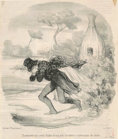 En herre, der ville studere ... biernes skikke af Honoré Daumier