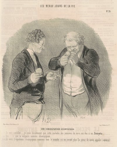 En videnskabelig konsultation af Honoré Daumier