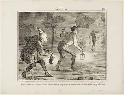 Gartnerne i Nanterre går på tå ved midnat mod kaktussen grandiflorus for at overraske den i dens blomstring, planche 323 fra Actualités af Honoré Victorin Daumier