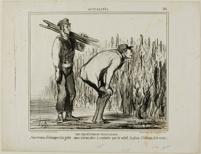 En vinbondes bekymringer. "- Vi slap for frosten.... alt, hvad vi nu skal bekymre os om, er solen, regnen, vinmuggen og alt det andet...", plade 397 fra Actualités af Honoré Victorin Daumier