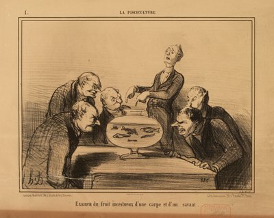 Fiskeopdræt nr. 1: Undersøgelse af en karpes og en lærds incestuøse afkom. af Honoré Daumier