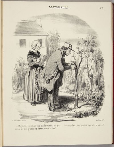 Min podning af et kirsebærtræ på et abrikostræ har ikke taget fat... af Honoré Daumier