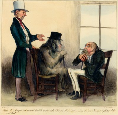 Se hr. Mayeux, dette dyr holder midtvejen mellem menneske og abe – guds skyld! Han kan smigre sig selv for at være grim!" Tegneserie, der skildrer lighederne mellem en orangutang og en mand - tegning af Honore Daumier (1808 - 1879) fra "Charivari" af Honoré Daumier