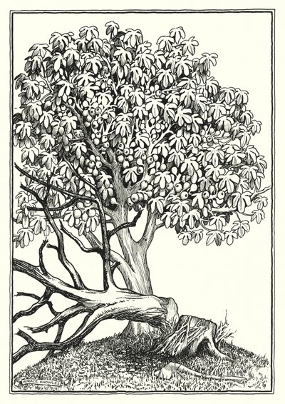 Illustration til Bjergprædikenen (kobberstik) af Horace J. Knowles
