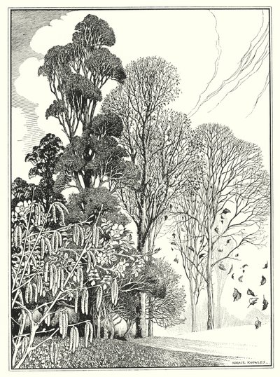 Månederne (litografi) af Horace J. Knowles