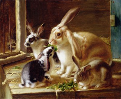 Langørede kaniner i et bur, overvåget af en kat af Horatio Henry Couldery
