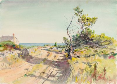 Uden titel, slutningen af det 19.-begyndelsen af det 20. århundrede. af Howard Russell Butler